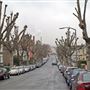 New Cross area