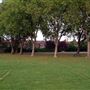 Chestnuts Park