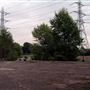 Hackney Marshes