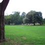 Avenue Gardens