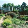 Hampstead Heath - the Hill Garden and Pergola