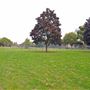 Ladywell Fields