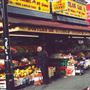 Green Lanes, Harringay