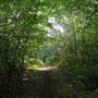 Park Wood