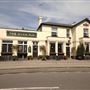 The Wych Elm