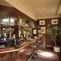 The Wych Elm