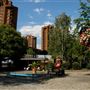 Cremorne Gardens