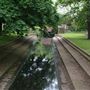 Valentines Park