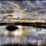 Hornchurch Country Park