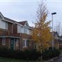 Wepham Close