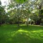 Blenheim & Elgin Communal Gardens