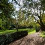 Blenheim & Elgin Communal Gardens