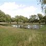 Bushy Park