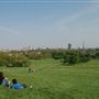 Primrose Hill
