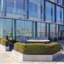 The Blue Fin Building