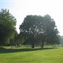 Westow Park