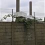 Taylor's Lane Gas Turbine Power Station