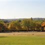 Hilly Fields