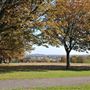 Hilly Fields