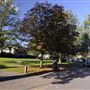 Roe Green Village Conservation Area