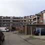 Barking area