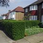 Furness Road