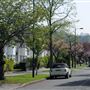 Whitmore Road