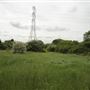 Pot Kiln Wood