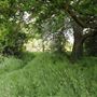 Pot Kiln Wood