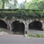 Buccleuch Gardens