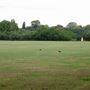 Old Deer Park