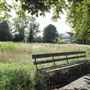 Pesthouse Common
