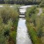 WWT London Wetland Centre
