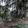 Barnes Old Cemetery