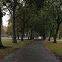 Royal Victoria Gardens