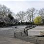 Bishop's Park