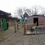 Spitalfields City Farm