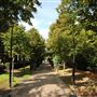 Dock Hill Avenue
