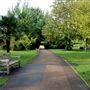 Waddon Ponds