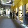 Natural History Museum - Darwin Centre