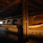 Dead Dog Basin