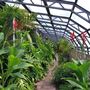 Wolves Lane Horticultural Nursery
