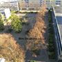 Churchill Gardens