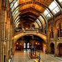 Natural History Museum