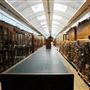 Natural History Museum