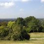 Richmond Park