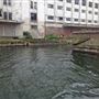 London's Royal Docks