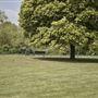 Parsloes Park
