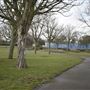 Old Dagenham Park