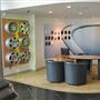 Toyota and Lexus Dealerships